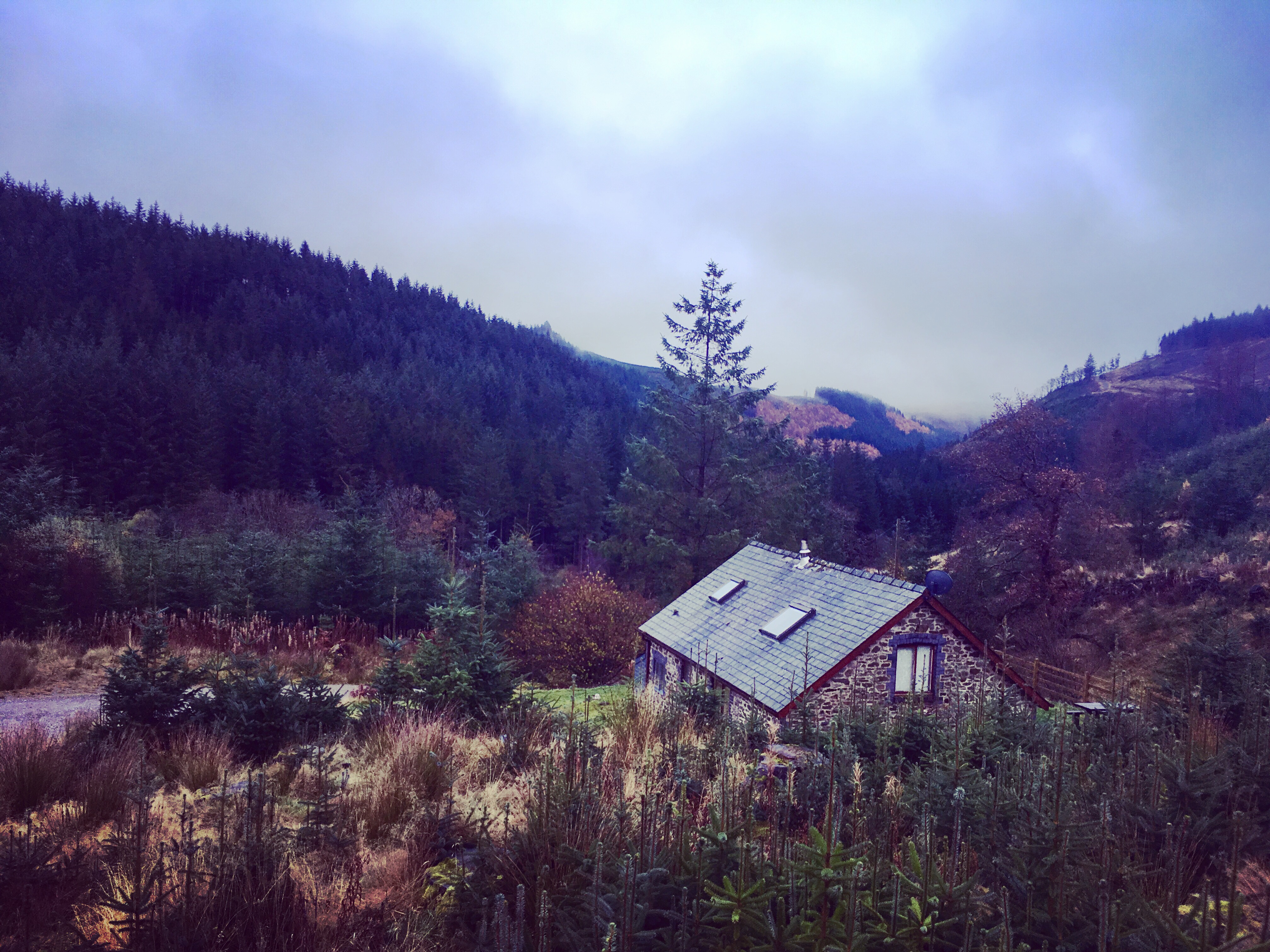 Trallwm Forest Cottages_Mid Wales