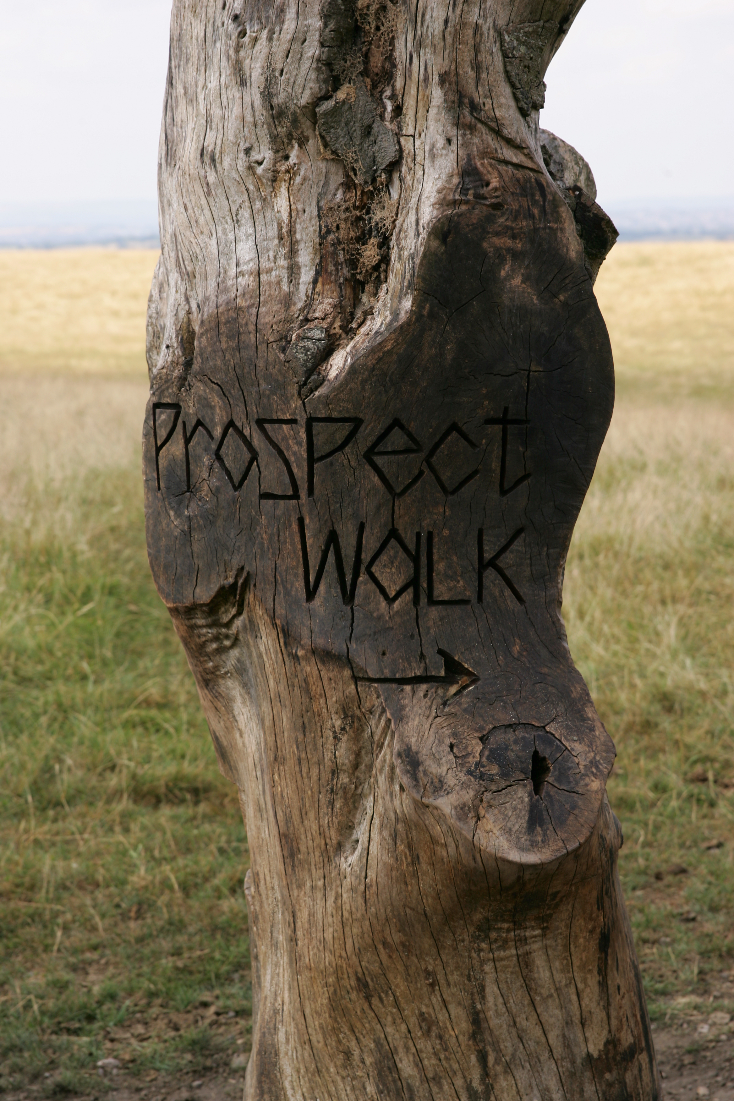 Prospect Walk