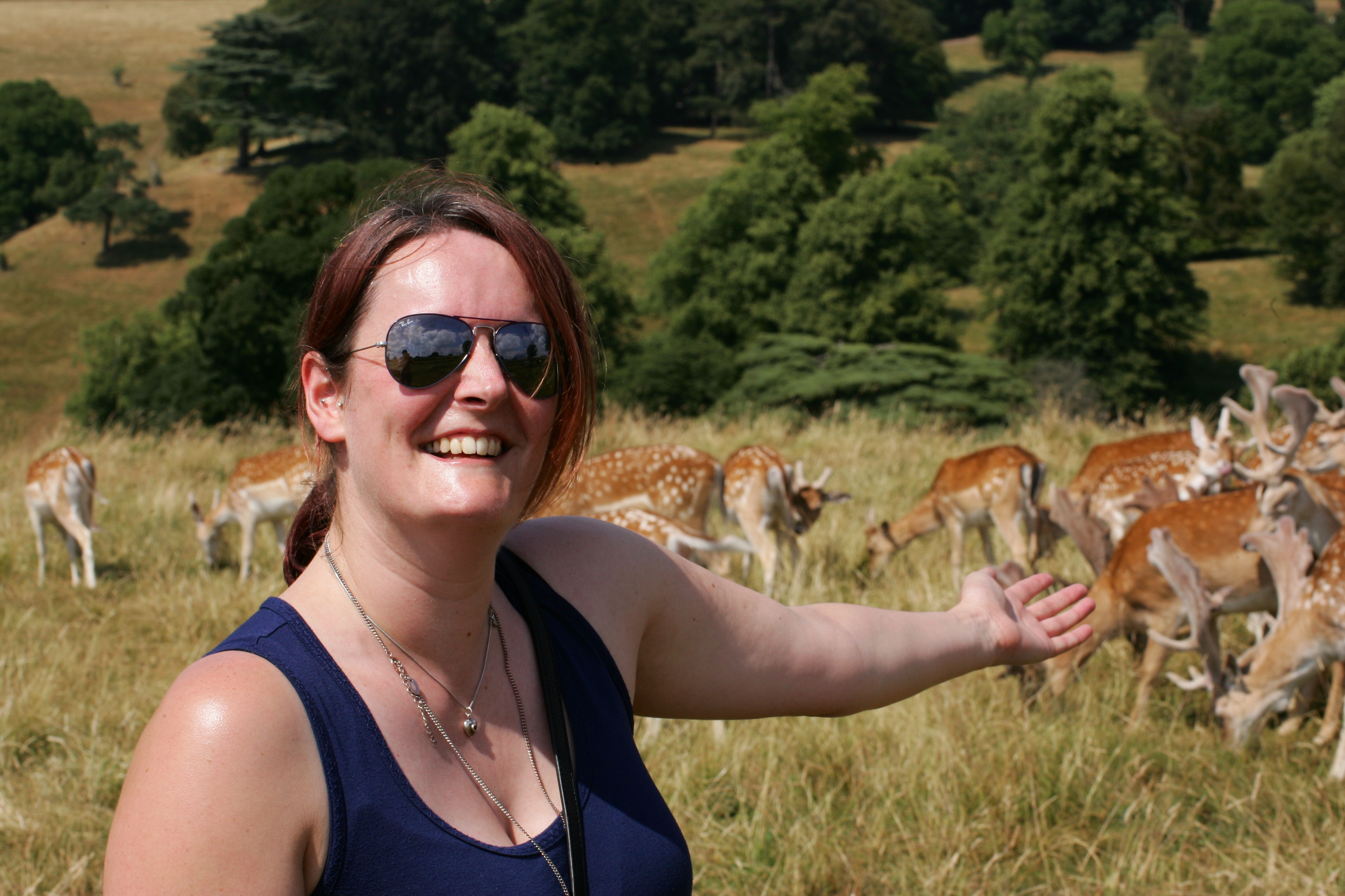Oh Deer!