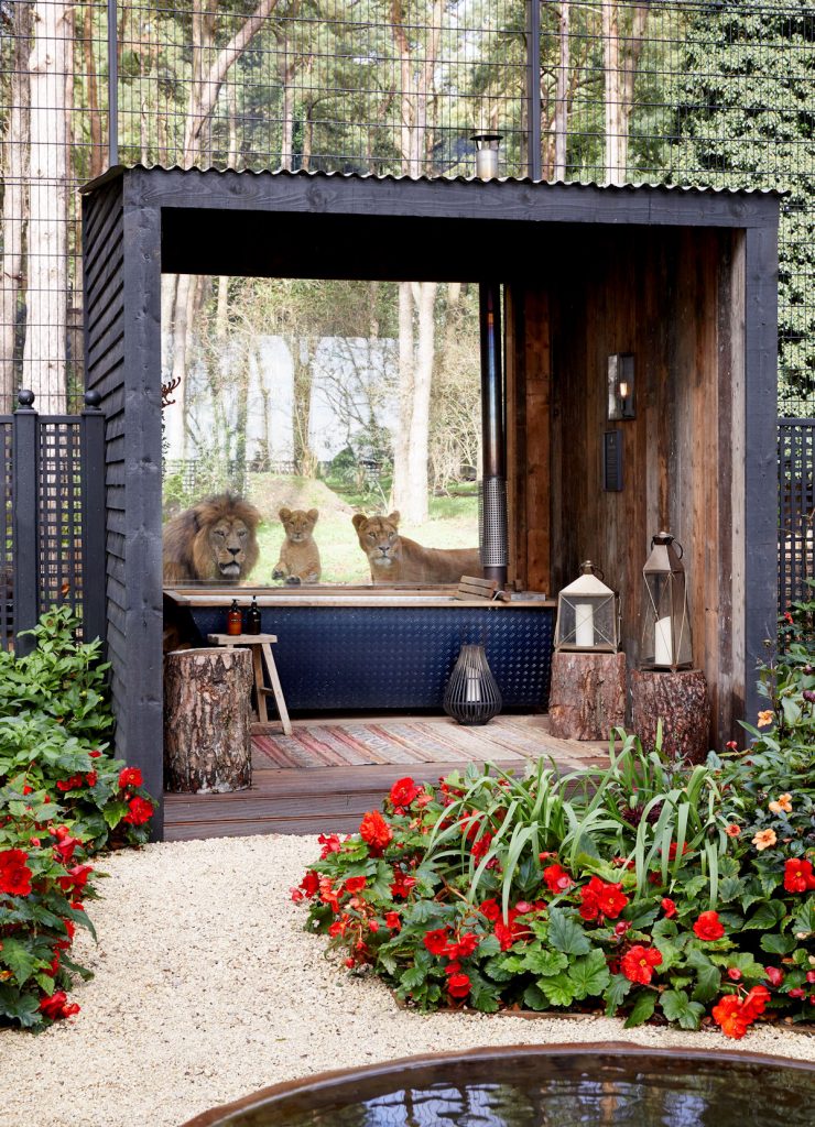 The garden view at Lion Lodge, Port Lympne Hotel and Reserve