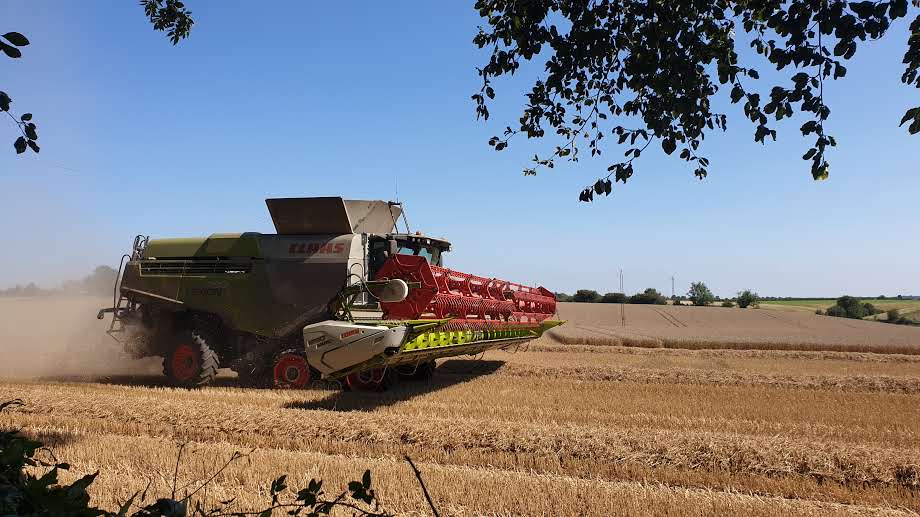 Combine during harvest