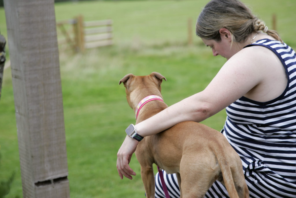 Woman sat on the decking of a cabin reading a book, whilst she drapes her arm over her red staffordshire bull terrier who is looking out across the garden.