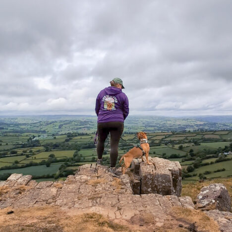 Travelling with your dog