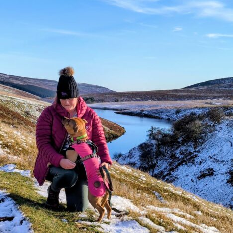 A dog friendly escape to Cambrian Mountains Camping and Glamping – Our stay in the Teifi Glamping Pod